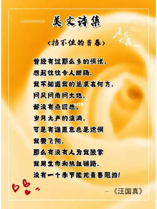 美文诗集挡不住的青春汪国真