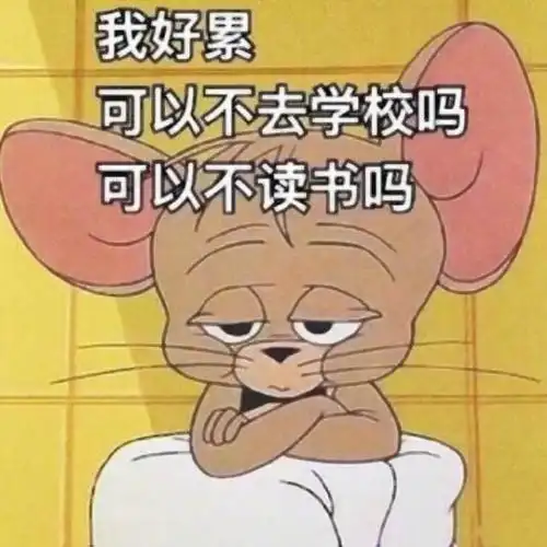 猫和老鼠带字搞笑图片头像高清可爱汤姆和杰瑞带文字的图片头像