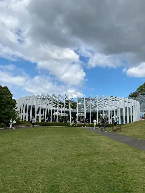 悉尼皇家植物园的景色