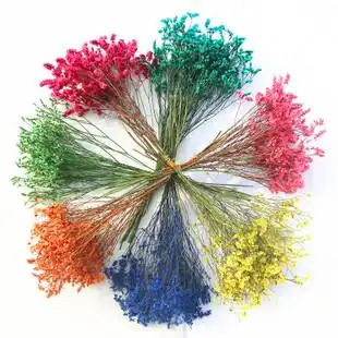 水晶 云南干花七彩水晶草 基地直销情人草干花 彩色水晶超值款