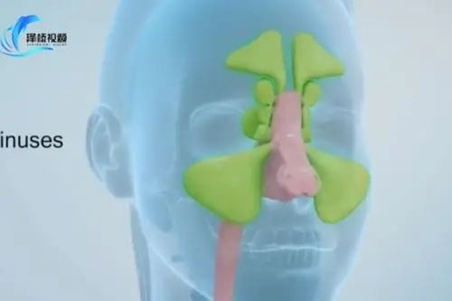 泽桥视频制作鼻腔三维动画