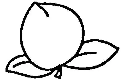 教你如何画桃子 水果简笔画