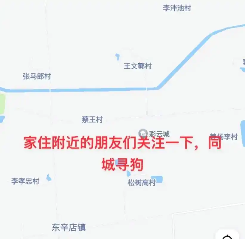 急!4岁小公狗,黑黄相间,嘴底有白毛,脸上有两小 - 抖音