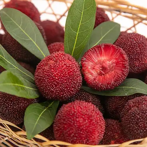 仙居东魁杨梅新鲜水果