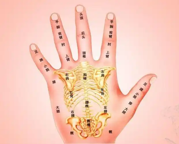 小拇指弯曲美甲店老板说我身体亚健康看手指知健康还需学习