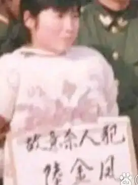 陆金凤被执行死刑全过程.