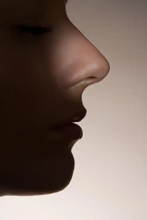 鼻子嘴部侧面特写高清图片