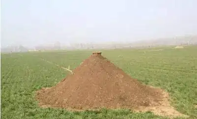 《管子·九变》:"大者,亲戚坟墓之所在也.