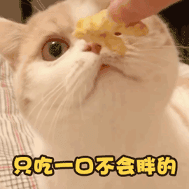 扶我起来还能吃图片_扶我起来还能吃动态图_扶我起来还能吃表情包gif