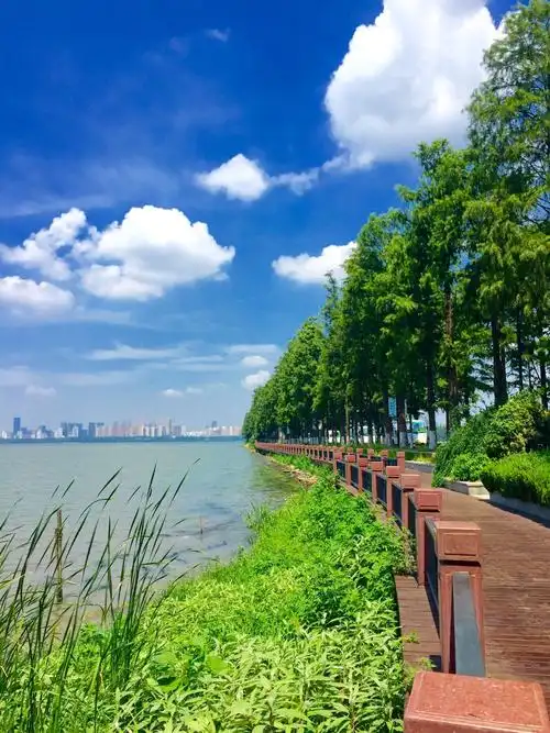武汉东湖绿道 - 美篇