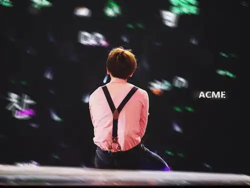 边伯贤# 150530 the exoluxion 上海演唱会萌萌的背影