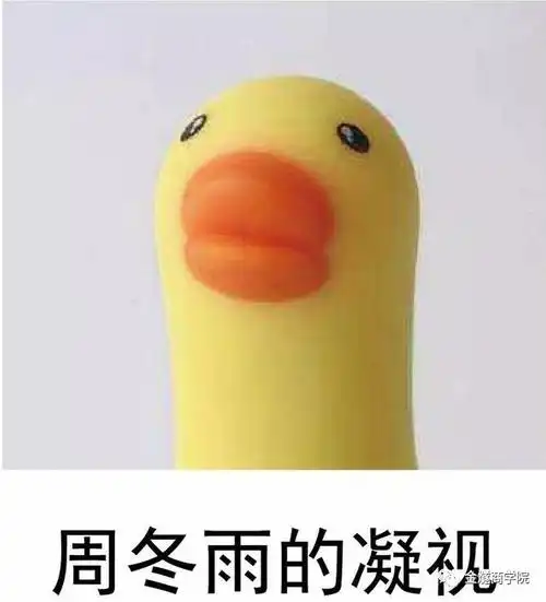 2019年动物界的宣言:争做网红翘楚!