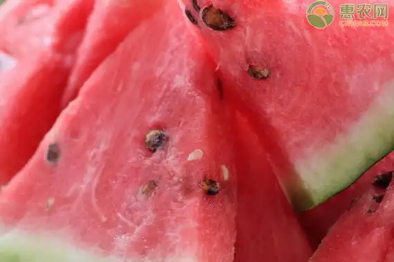 如何正确保存西瓜? - 惠农网