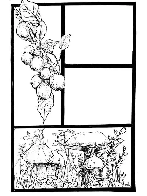 黑白手绘手账排版