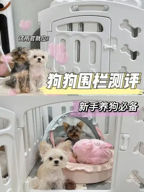 04狗狗围栏测评新手养狗必备73进来看