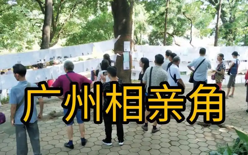 实拍广州天河公园相亲角,现在女人相亲要求怎样呢?带大家看看