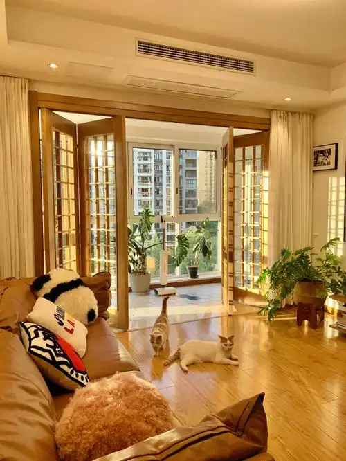 无婚无娃 | 没有男人嚯嚯的家确实干净整洁!