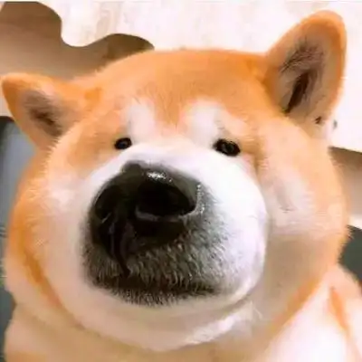 沙雕头像129张 高清好看特别沙雕的搞笑头像图片_搞笑头像_头像屋