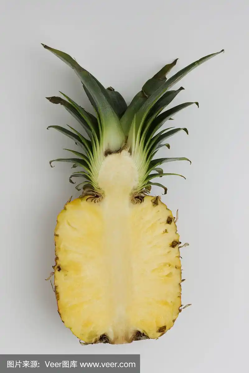菠萝的横截面