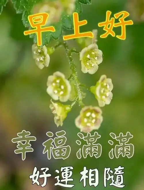 原创9张秋天清晨朋友早上好祝福语图片大全免打字秋日清晨早安问候语