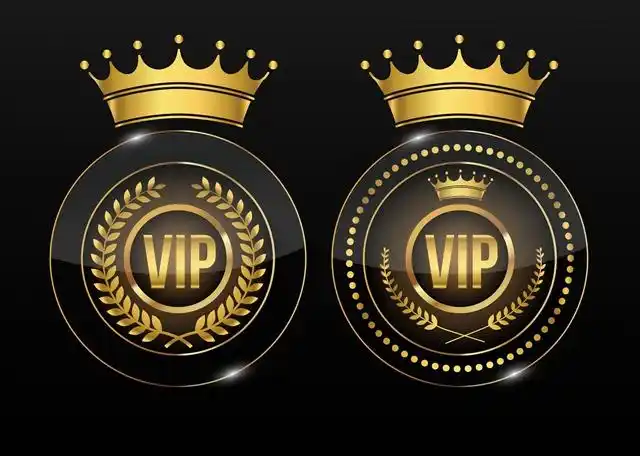 高端会员vip徽标