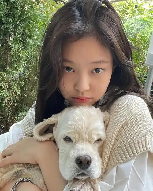 jennie我的小狗很可爱