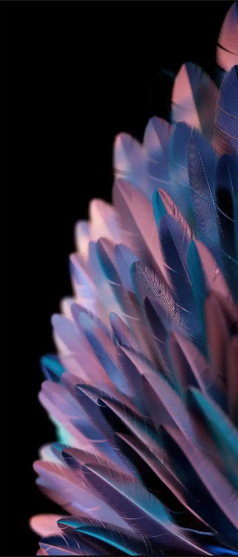 oppofindn2原生内置壁纸大家喜欢评论区可以自行下载哈