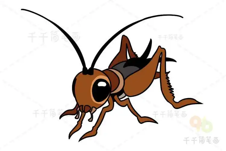 蟋蟀简笔画教程昆虫简笔画