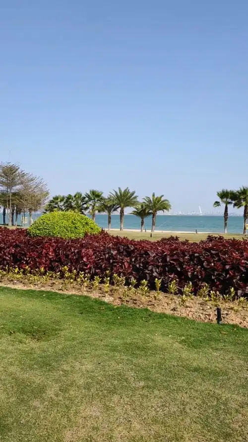 厦门不愧是海上花园,生态环境太好了,其他城市很难见到