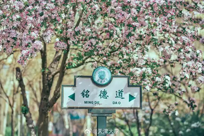 #为考研加油##天津大学复试线##我在天大等你#