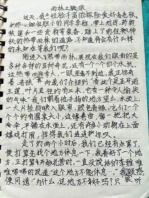 探险雨林之旅作文