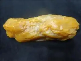 新疆沙漠漆鸡油黄