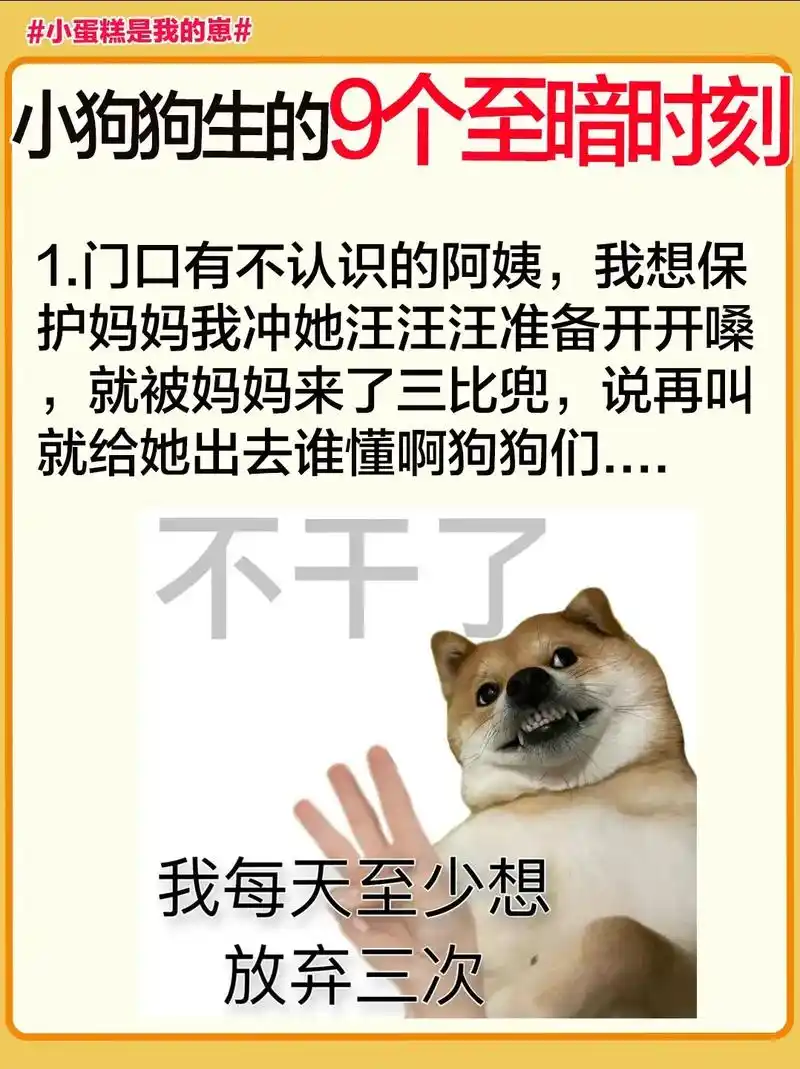 95有人管吗?谁懂啊,我 - 抖音