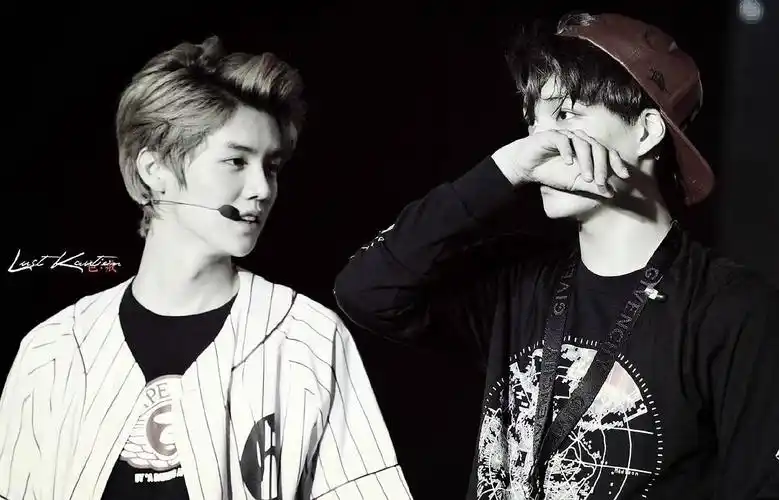 关系cp开鹿开路完