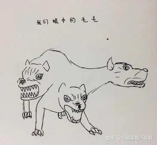 论海格眼里的神奇动物