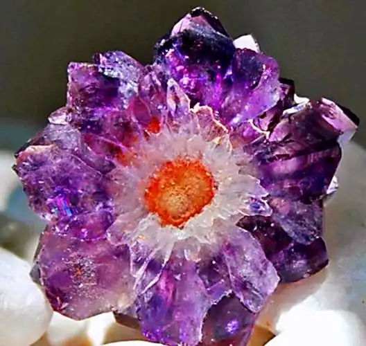 喏,送你一朵 紫水晶 amethyst 的花