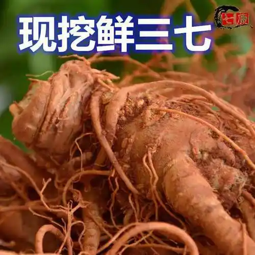 新鲜三七精选云南文山三七头带根须新鲜田七泡酒料活三七250g500g