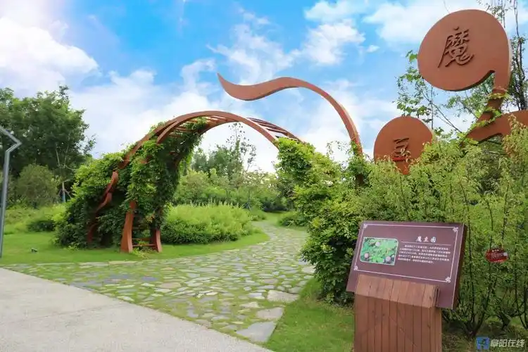 阜阳植物园简介