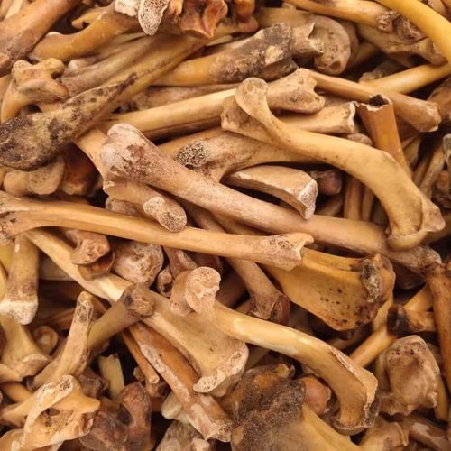 内廷上用猴子骨头中药材粉煅炒制粉药用犬骨粉包邮 免费打粉狗骨 狗骨