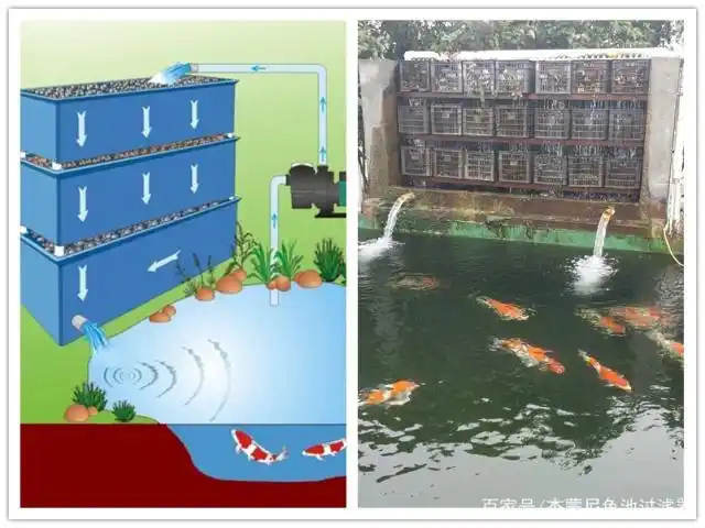 室外鱼池的过滤系统多样化介绍