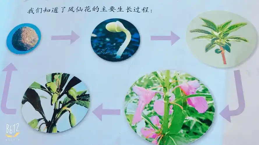 糯米🎉👣的美篇 - 美篇