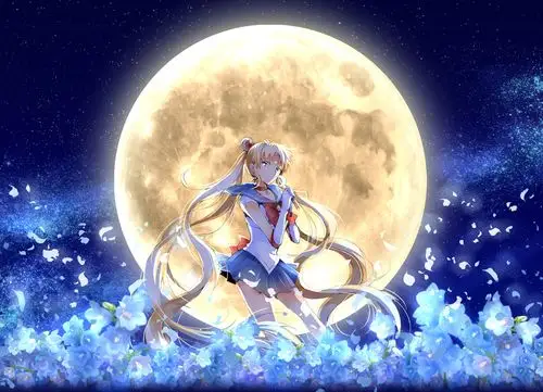 美少女战士 [月野兔]