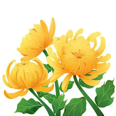 重阳节菊花卡通重阳节菊花元素png素材