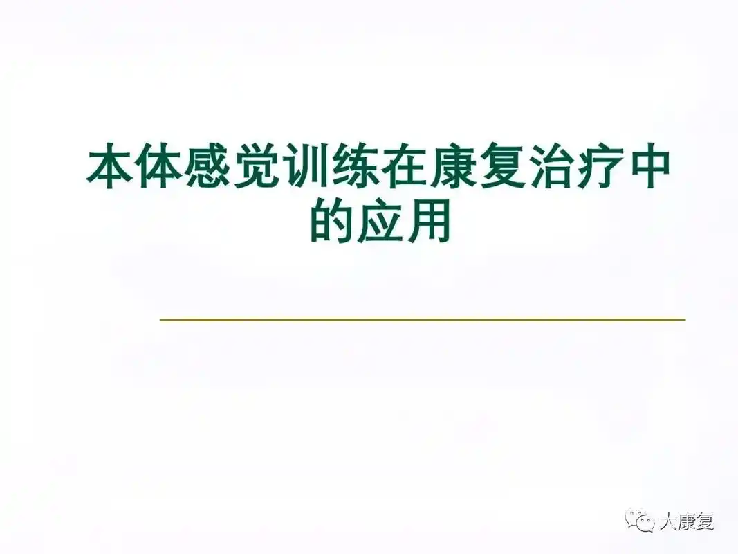 本体感觉训练在康复治疗中的应用