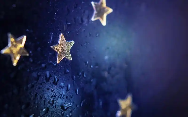 star中文意思是什么?