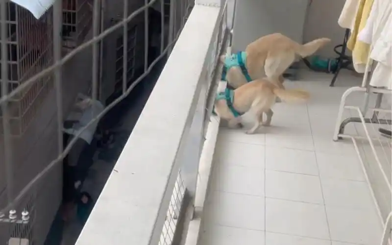 隔壁邻居的事已经瞒不住了