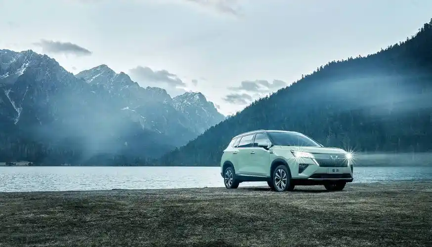 平均单车利润不到700元银标五菱能否走出低价困局