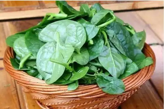 吃潺菜能降血糖吗潺菜孕妇可以吃吗