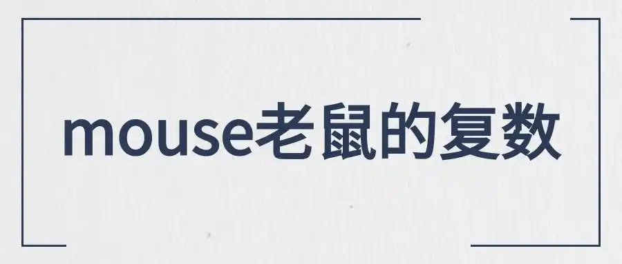 每日学习老鼠的复数mouse的复数是什么