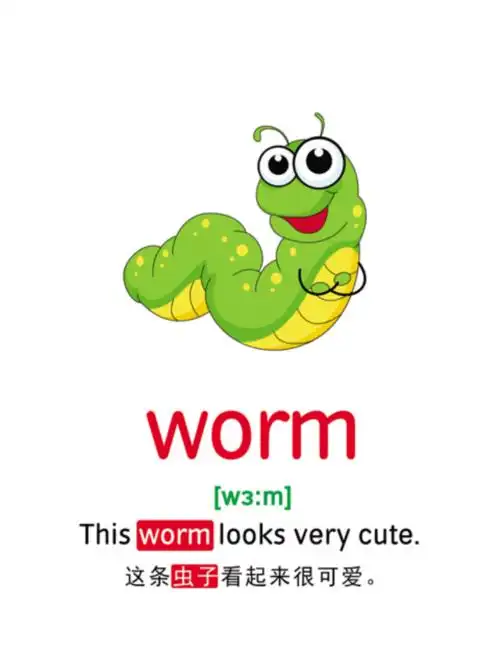 英语动物单词闪卡(含例句和中文翻译).pdf-原创力文档